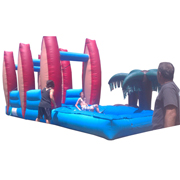 largest inflatable water slide